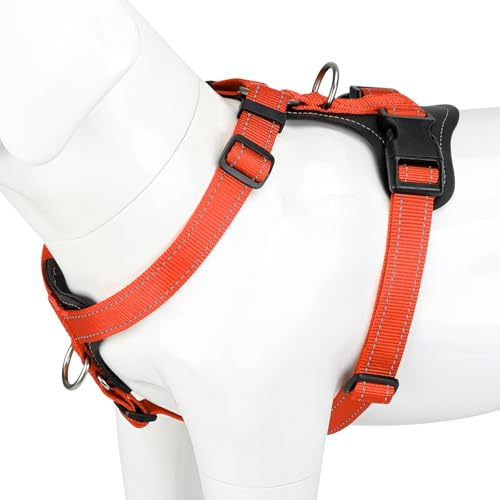 Plutus Pet No Pull Dog Harness with Leather Accents, Adjustable Reflective | Heavy Duty Nylon Pet Vest, for Training and Hiking, Front Clip, Easy Walk for Small Medium Large Dogs, Orange, XL