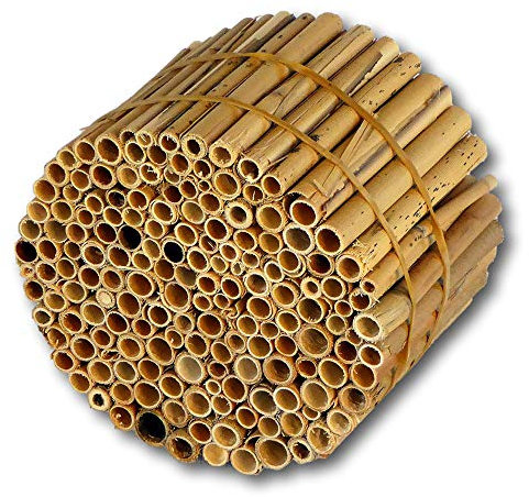 BeeCasa by Hiss Reet® Schilfrohrhalme MEDIUM | Naturbelassener Bund | Insektenhotel & Bienenhotel Füllmaterial | Niströhren & Nisthülsen für Wildbienen