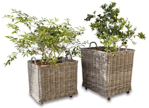 Loberon Pflanzkorb 2er Set Gialousa, braun | Aufwendig Geflochten, mit Rollen, Gartenzubehör, Übertöpfe, Rattan, Teakholz, Gummi