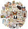 Dishaur 50PCS Vintage Scrapbooking Stickers, Aesthetic Decorative Stickers Sheets for Laptop Water Bottle Skateboard Phone