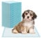 60x ARNOMED® Welpen Unterlagen 60x40cm, Saugfähige PIPI Matten für Hunde & Welpen, Puppy & Dog Pads, Trainigspad, Inkontinenzunterlagen Hund, Hundeunterlagen PIPI, Matten Auslaufsicher