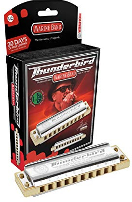 HOHNER M2011BX Thunderbird Harmonica, Key of Low A, Stainless steel (M2011BXL-A)