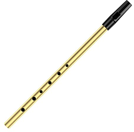 Zengxue Querflöte Anfänger Messingrohr C-Taste & D-Taste Sechs-Loch-Pfeife (Color : D Key Gold)