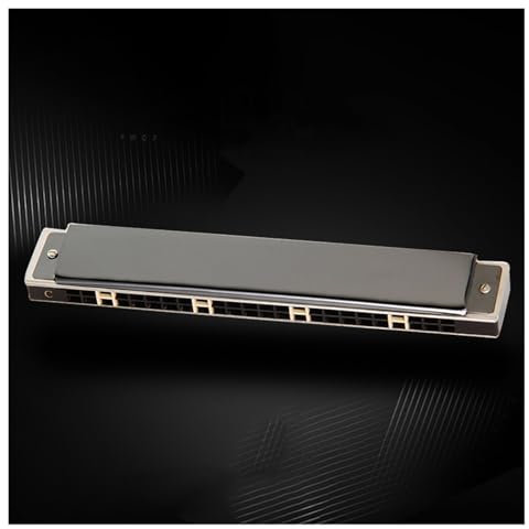 24-Loch polyphone Mundharmonika schwarz professionelle Leistung klassische Mundharmonika(D)