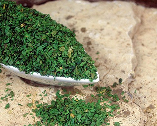 Naturix24 - Feuilles de coriandre rectifiées - Sachet de 500 g