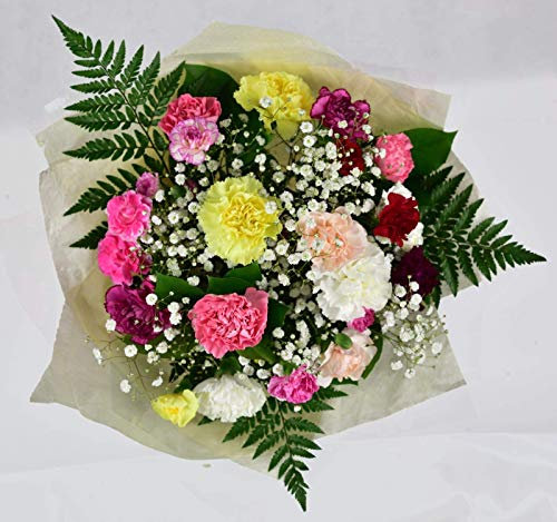 Simple Beauty Bouquet Fresh Flowers - Carnation summer Arrangement Florals for celebrating Birthdays, Get-Well, Anniversary, Thoughtful Gifting, Floral occasions, Sympathy, Long-Lasting Blooms