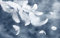 Wesmilewallpaper Papier Peint Panoramique 3D Art De La Plume Blanche Minimaliste Moderne Papiers Peints Intissé Poster Mural Tapisserie Murales 350x245cm