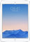 Apple iPad Air 2 128GB Wi-Fi - Silber (Generalüberholt)