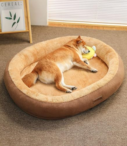 LINGXIYA Plüsch Hundematratze, Orthopädisches Hundebett, Memory Foam Hundebett, Donut Kuscheliges Hundekorb, Hundekörbchen Abnehmbar und Waschbar, für Fensterbank, Sofa, Boden, Auto, 60 * 45cm