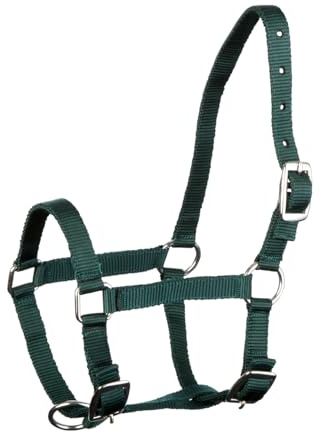 Fohlenhalfter, verstellbares Halfter für Fohlen, robuste Struktur, Dornschnalle, ideal als erstes Stallhalfter