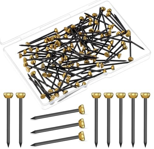 Giantree 100 Stück Bildaufhängeset, 25mm Nägel Bilder Aufhängen, Bildaufhänger Messing Kopfstifte Nägel Bildernägel mit Aufbewahrungsbox Nägel für Bilder Aufhängen fur Bilderrahmen und Dekorationen