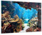 Bilder auf Glas 100x70cm Glasbild Ozean Riff Fische Koralle Groß Wanddeko Bild im Glas Schlafzimmer Küche Deko Wandbilder Dekoration Wohnzimmer Modern Wall Decor Wand Kunstdruck Art GAA100x70-2872