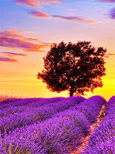 Diamond Painting, DIY Kinder Diamant Painting Bilder, Landschaft Lavendel Sonnenuntergang 5D Erwachsene Groß Vollbohrer Diamant Malerei Cross Stickerei Malerei Kits, Wohnwand Wand Dekoration 30x40cm