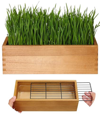 BENPIN Wooden Cat Grass Planter (no Seeds Included) with Potting Soil Disks, Anti-Digging Grid and Removable Plastic Liner, Wheat Grass Growing Pot, Cat Grass Kit for Indoor Cats Pets (Aged Yellow)