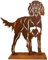 Terma Stahldesign Rost Hund Lebensgroß Handmade Germany tolle Gartendeko aus Metall Figur deko Geschenk Rostfigur Garten deko Gartenfigur, hundegrab deko (Gordon Setter)