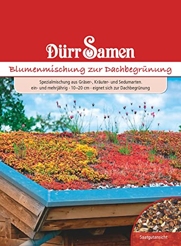 Blumenmischung Samen zur Dachbegrünung Blumensamen Sedumarten Kräuter Einjährig Mehrjährog Dachblumen Begrünung ca 5m² Saatgut Dürr Samen
