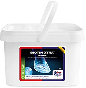 Equine America Biotina Xtra Polvere | Integratore Premium pronto all'uso per cavalli e pony, per supporto zoccolo | 2,5 kg