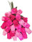 Homestreet Everlasting Blumenstrauß, 2 Dutzend Holzrosen in einer Auswahl von lebendigen Farben, 24 Rosenknospen in Cello-Instant Floral Geschenk (Candy Pinks)