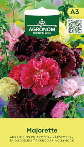 AGRONOM | Semillas de malva real - MAJORETTE | Semillas de flores | Semillas de plantas | Semillas de jardín | Plantas bienales de hasta 80 cm de altura | 1 paquete