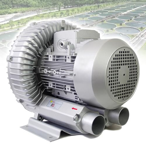Eastnmythet Soffiante Rigenerativo Industriale, Soffiante Ad Anello Vorticoso Ad Alta Pressione Monofase, Pompa dell'Aria per Acquacoltura,2200W/3.0HP