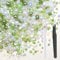 Bouiexye 80g Mix Flatback Pearls and Rhinestones for Crafts Emerald Green Mixed Size 2mm-10mm Half Round Pearls Rhinestones for Nail Art Tumblers Shoes DIY Bedazzling with Tweezers Wax Pen