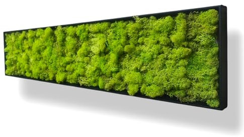 Tableau Végétal Stabilisé LICHEN XL 100 x 22 cm – Décoration Murale Naturelle | Plantes Stabilisées Sans Entretien | Fabriqué en France