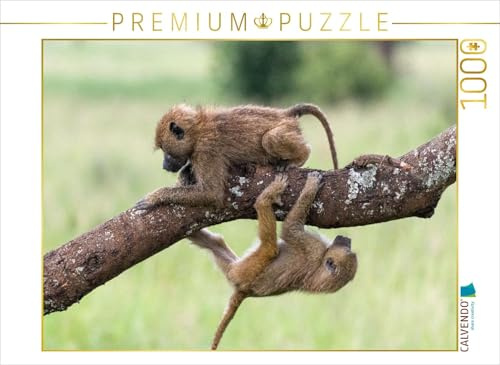 CALVENDO Puzzle Junge Paviane | 1000 Teile Lege-Größe 64 x 48 cm Foto-Puzzle für glückliche Stunden