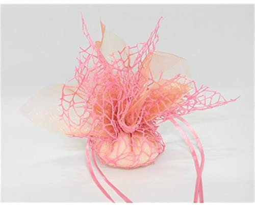 Generico 25X Velo Quadro Organza Rosa Cipria con Rete Spider e Tirante Bomboniera