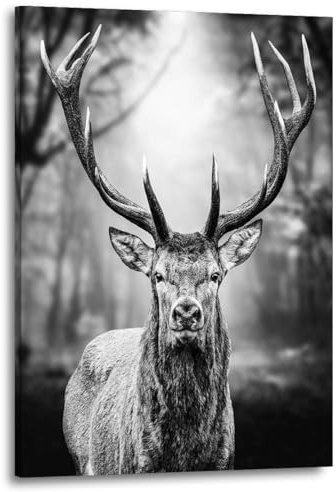 Kunstgestalten24 | Hirsch Black Forest Leinwandbild | Wohnzimmer Bilder | Tier Wandbilder | Wanddeko | XXL Bilder auf Leinwand | Moderne Bilder | Hochwertiger Kunstdruck