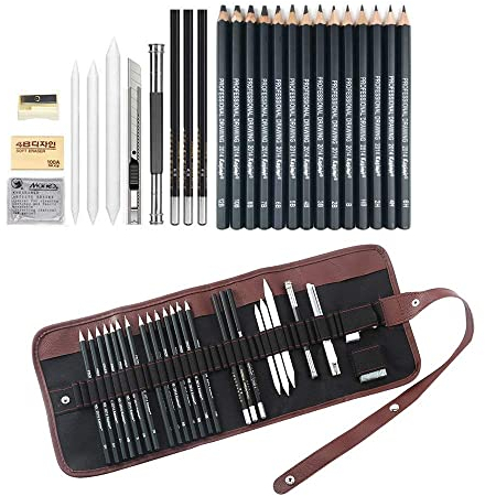 Sketching Pencil Set, 24 Pcs Graphite Drawing Pencil for Artists Adults Children Include 12B - 6H, Charcoal Pencils, Canvas Bag and Accessories