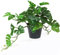 Kunstpflanze Monstera 26.6cm, Künstliche Monstera Pflanzen Deko im Topf, Plastik Künstliche Hängepflanzen Deko Modern Außenbereich für Heim Büro Wohnzimmer Schlafzimmer Badezimmer Küche Dekoration