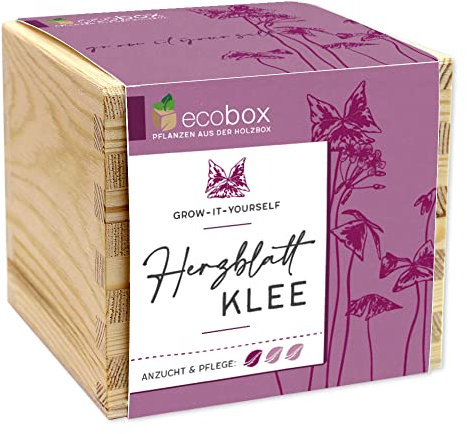 Feel Green - WE CREATE NATURE ecobox, Herzblattklee, Pflanzen Aus Der Holzbox 11x11x10cm, Made in Austria, Nachhaltige Geschenkidee, Grow Your Own/Anzuchtset