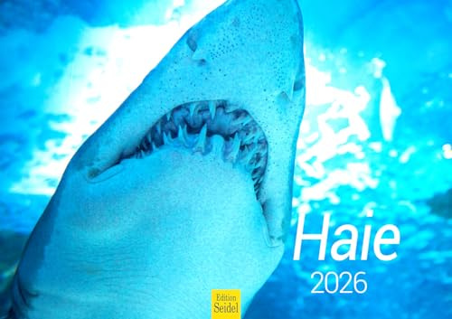 Edition Seidel Premium Kalender Haie 2026 Format DIN A3 Wandkalender Tierkalender Haikalender Hai Meerestiere Raubfische Meer Ozean Unterwasserwelt