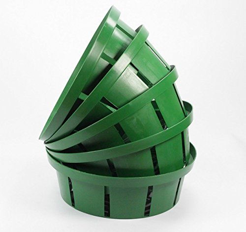 biwin Pflanzschale 10x für Blumenzwiebeln Zwiebeln Pflanzkorb Schale 25cm/23cm 10 Stueck (⌀ 25cm)