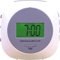 Aidapt Vibration Alarm Clock.Hearing Impaired,Deaf,Shift Workers, Don't Disturb Partner,LCD Display,Under Pillow using Strap with Clip,Built in Stand for Desk Mount,Snooze Function,Built in Back Light