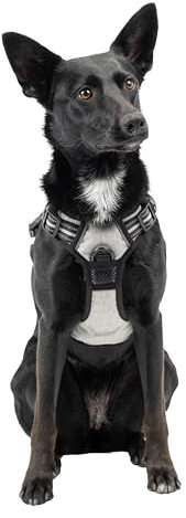 Ferplast Pettorina Cane Taglia Media, 2 Ganci per Massimo Controllo, Anti Tiro, Pettorina Cane Regolabile, Riflettente, Traspirante, Imbracatura Cani ideale per Addestramento M, Grigia