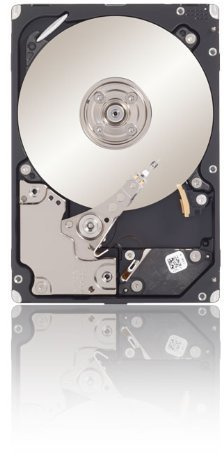 Seagate Savvio SAS-Festplatte (6,4 cm (2,5 Zoll), 6.000 U/min, 6 GBS, 64 MB Cache, mit Verschlüsselung, OEM-Laufwerke) 300 GB