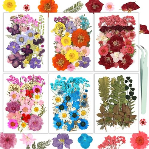 Resiners 174 Stück Gemischt Bunt Getrocknete Blumen Natürliche Gepresste Getrocknete Blumen Blätter für Harz Schmuck Machen, DIY Kerzen, Anhänger, Handyhüllen, Fotorahmen, Bath Bombs, Scrapbook
