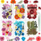 Resiners 174 Stück Gemischt Bunt Getrocknete Blumen Natürliche Gepresste Getrocknete Blumen Blätter für Harz Schmuck Machen, DIY Kerzen, Anhänger, Handyhüllen, Fotorahmen, Bath Bombs, Scrapbook