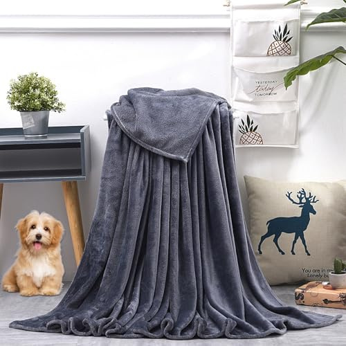 GAIFNAG Kuscheldecke Kaninchen Plüsch Decke 100 x 120 cm Extra Weich, Warme Gemütliche, Pflegeleichte Fleecedecke - Sofadecke für Bett Sofa Schlafzimmer Büro Home, Dunkelgrau