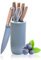 Chef Knife Set with Block, 6-Piece Kitchen Knives Set with Sharp Blades, Professional Knife Set with Ergonomic Handle, Non-Stick Stainless Steel Knife Block Set (Blue)