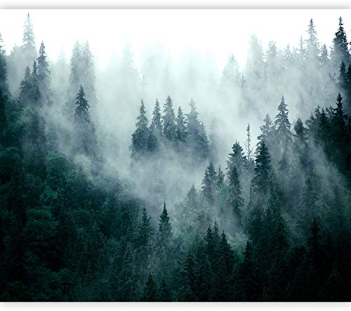 murando Fototapete selbstklebend Wald Nebel 343x256cm Foto Tapete Tapetenfolie Möbelfolie Wandverkleidung Wandtapete Motivtapeten Bildtapete Wohnzimmer 3d Effekt Modern Natur Landschaft skandinavisch