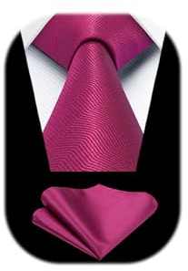 HISDERN Cravate et Pochette Ensemble Rose Vif Mariage Cravate Homme Classique Couleur Unie Élégant Formelle Affaires Mouchoir