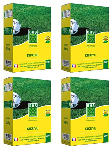 Multitanks - Gazon Kikuyu BHS, 100m², 4 boites de 300grs - 1.2 kgs