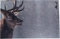 Mad about Mats Fußmatte Colt, Türvorleger, Schmutzfangmatte, Winter, Tiermotiv, Hirsch, Geweih, Grau, Outdoor, Haustür, Jagd, rutschfest, waschbar, 50 x 75 cm, Greige