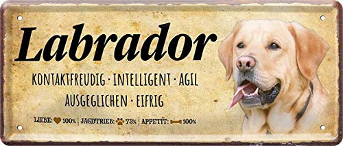 WOGEKA ART Retro Blechschild - Labrador Hund Steckbrief Dog - witziger Spruch als Geschenk-Idee zum Geburtstag Weihnachten zur Dekoration 28x12 cm Vintage-Design aus Metall 1465
