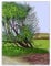 LIXINE David Hockney Poster David Hockney Leinwand Wandkunst《Die Ankunft des Frühlings》 Malerei David Hockney Drucke für Wohnkultur Bild 40x60cmx1 Kein Rahmen