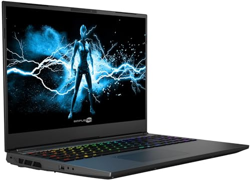 SIMPLETEK - Laptop Gaming 16 QHD+ 240Hz | i7-14700HX 48GB RAM 240GB SSD RTX 4070 8GB | Win 11 Home Tastiera italiana RGB (Ricondizionato)
