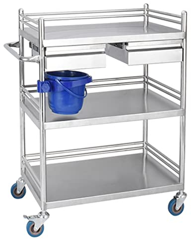 Medizinischer Wagen, Labor-Rollwagen 3 Regale Regal Edelstahl-Rollwagen, mit Schmutzeimer und Schublade Geräumiger Schönheitssalon-Rollwagen, für Krankenhaus-Zahnklinik-Zuhause ( Color : Double Drawer