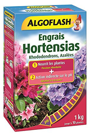 ALGOFLASH Engrais Hortensias, Rhododendrons, Azalées, Spécial pH, Floraison abondante, 1 kg, HORTOPH1